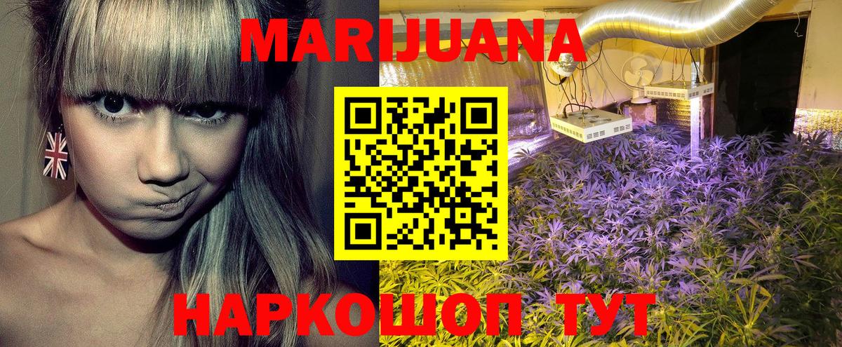 Конопля марихуана Зима